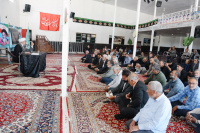 مشاهده DSC_7309.jpg