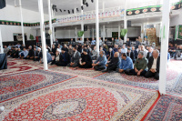 مشاهده DSC_7294.jpg