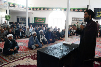 مشاهده DSC_7287.jpg