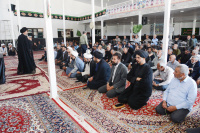 مشاهده DSC_7301.jpg