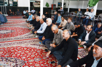 مشاهده DSC_7289.jpg
